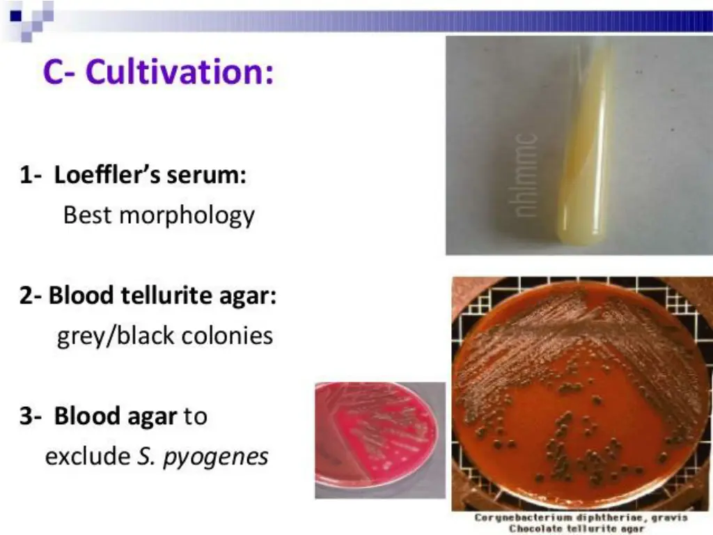 slide12