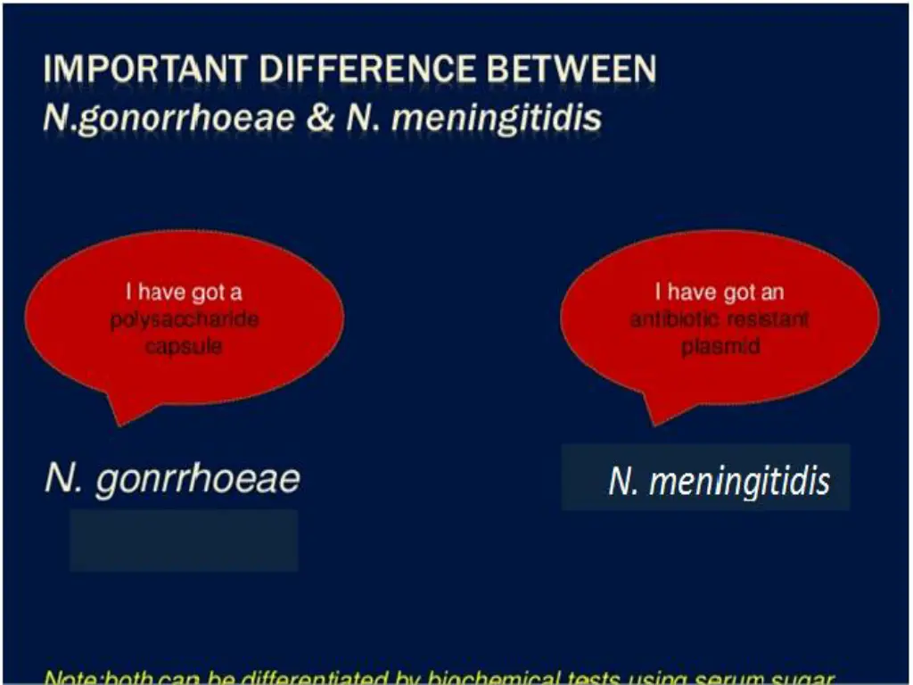 slide16