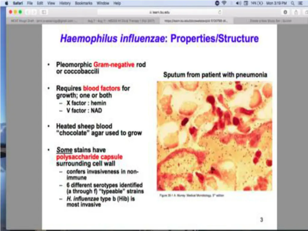 slide17