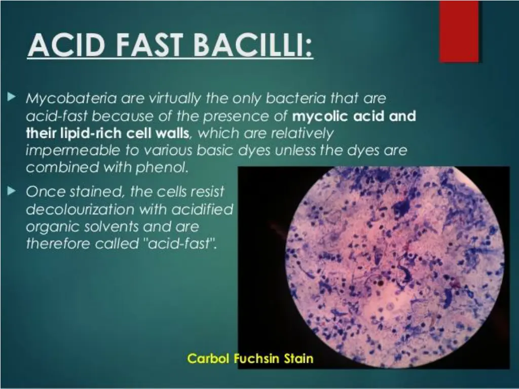 slide6