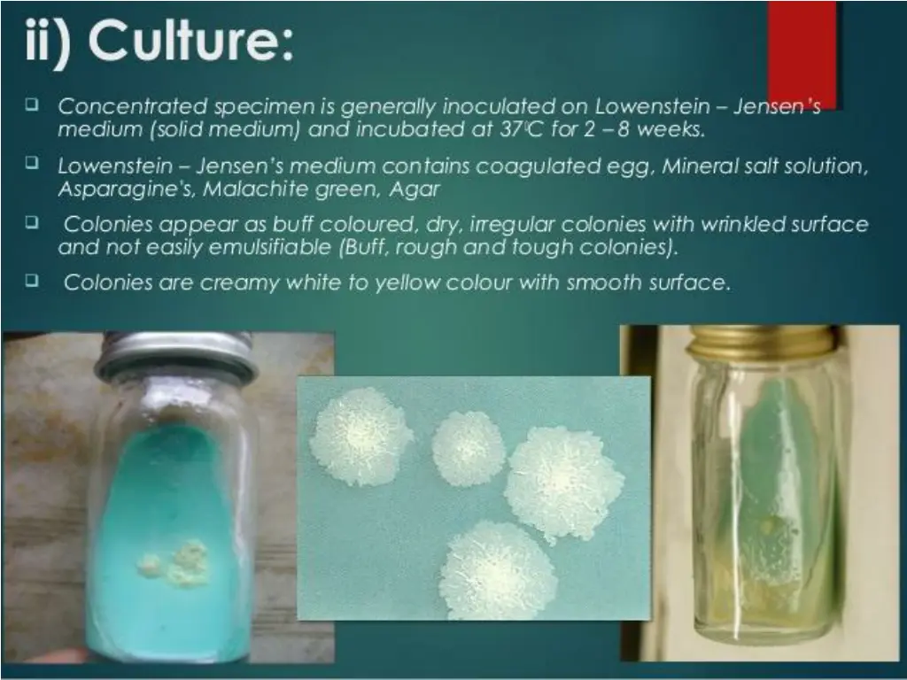 slide8