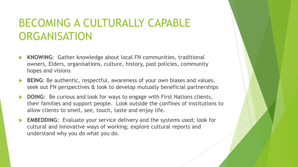 becoming a culturally capable organisation
