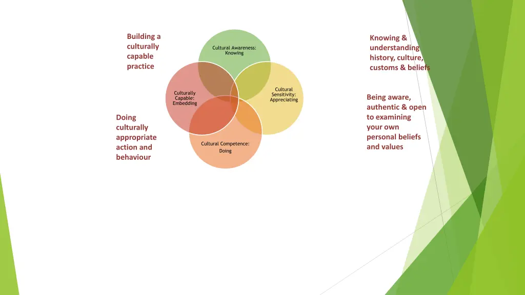 building a culturally capable practice