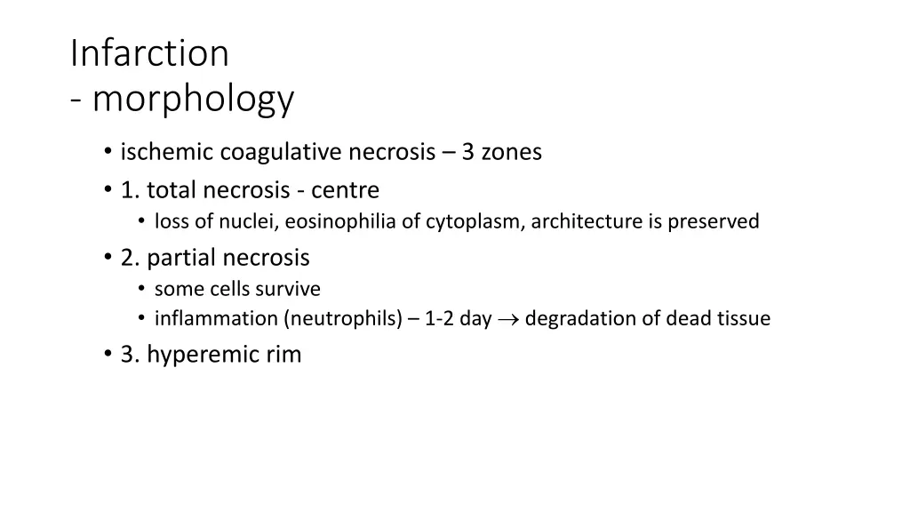 infarction morphology 1