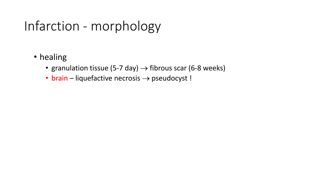 infarction morphology 2