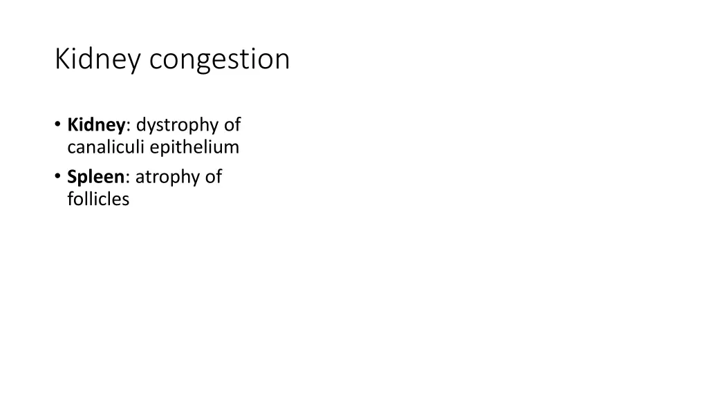 kidney congestion
