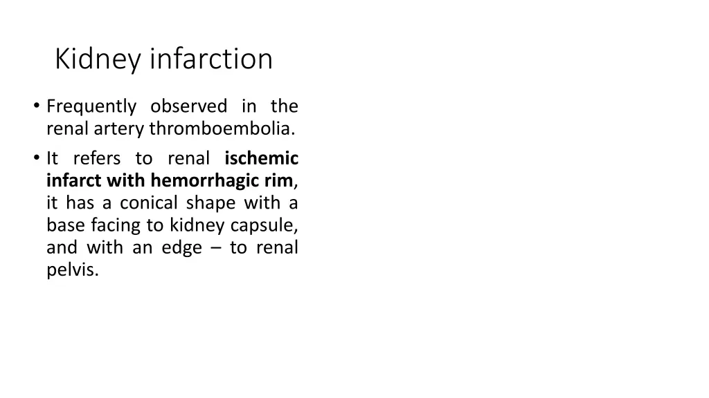 kidney infarction