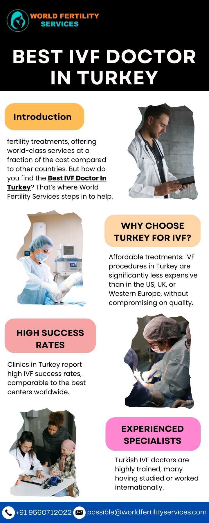 best ivf doctor in turkey