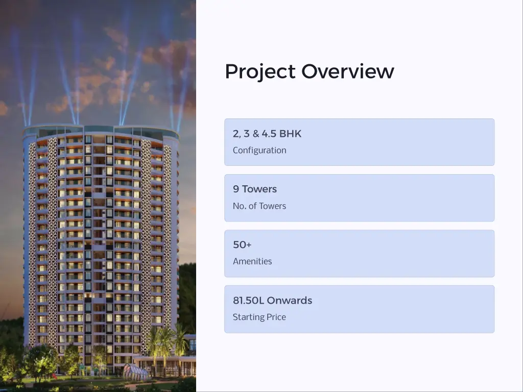 project overview