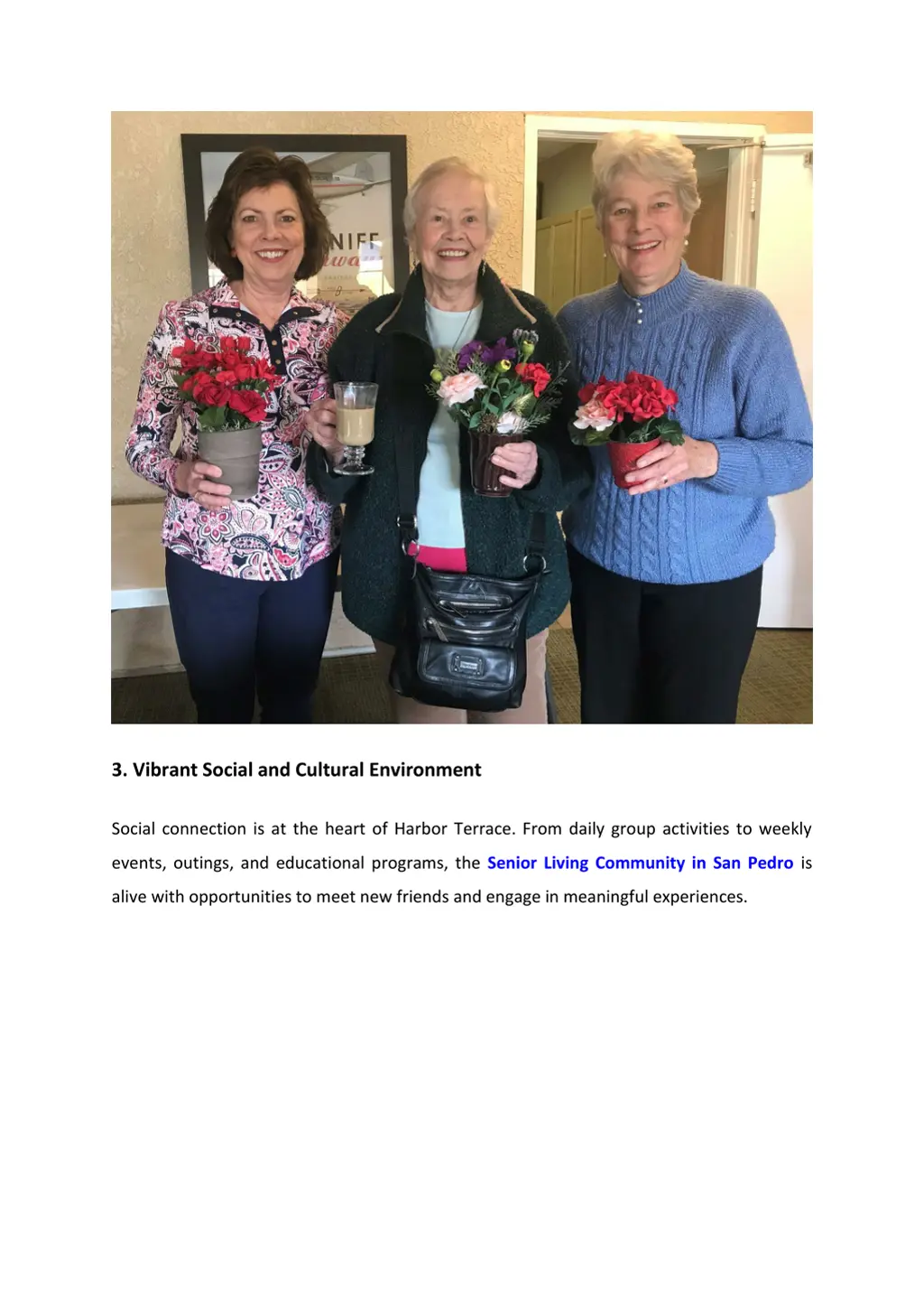 3 vibrant social and cultural environment