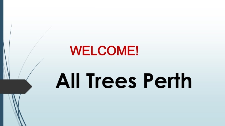 welcome welcome all trees perth