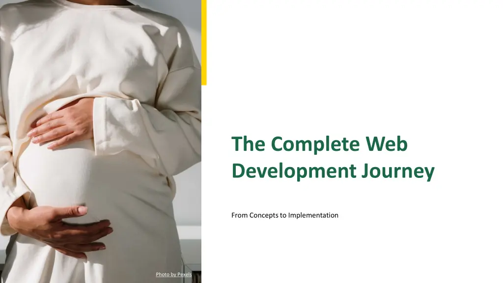 the complete web development journey