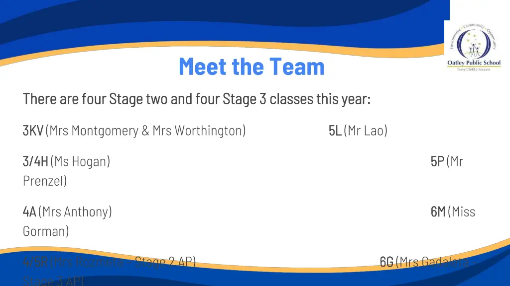 meet the team