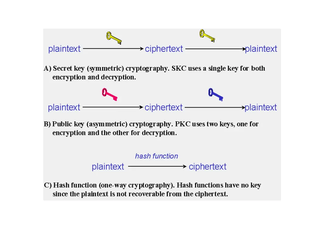 slide11