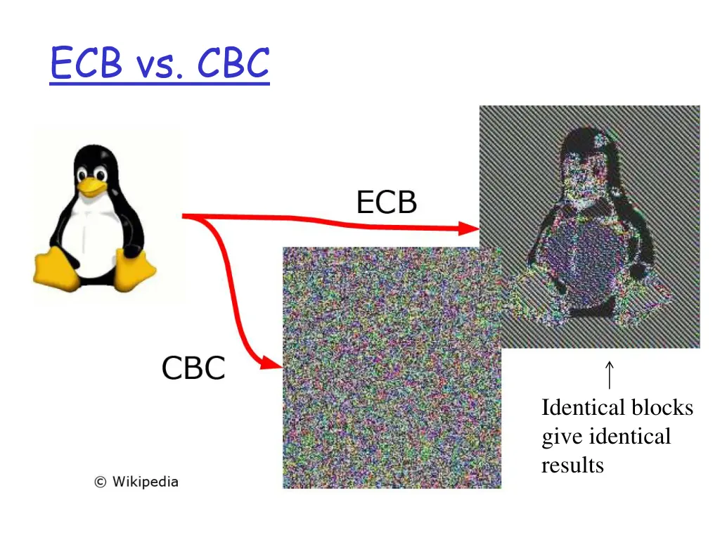 ecb vs cbc