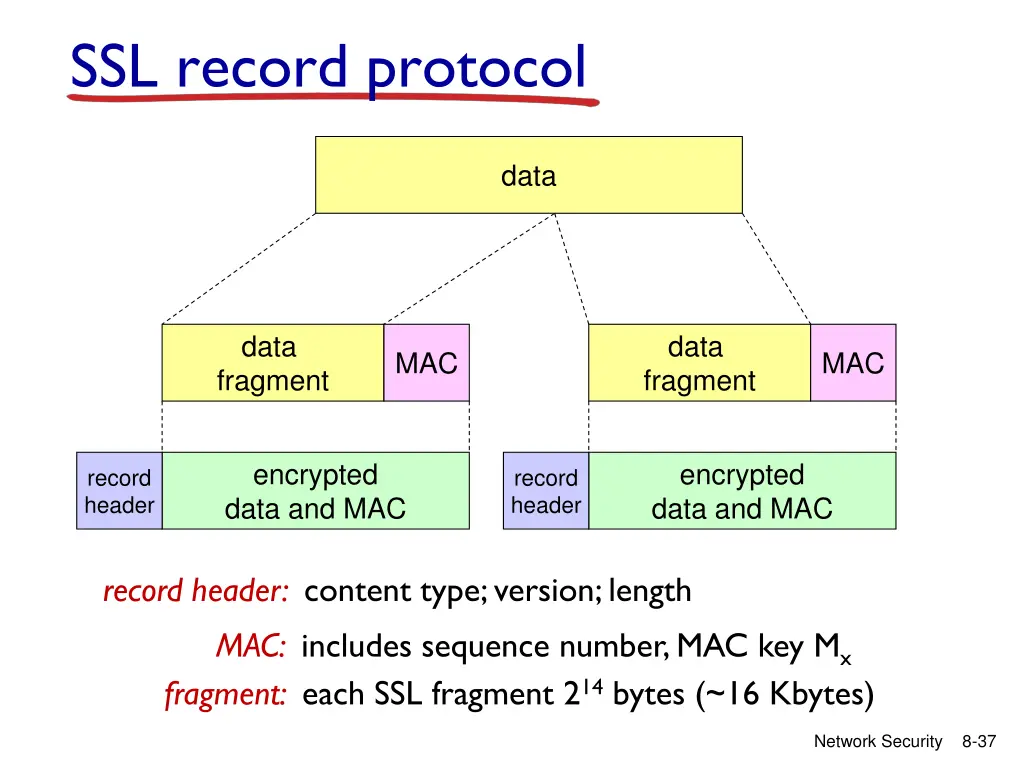 ssl record protocol