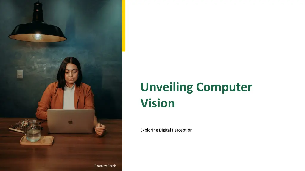 unveiling computer vision