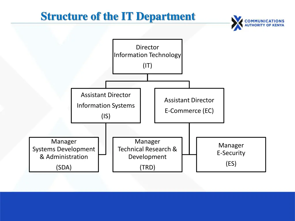 structure of the it department