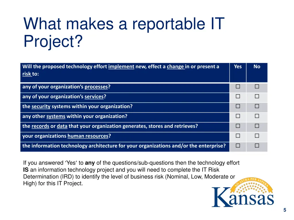 what makes a reportable it project