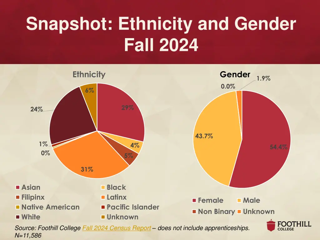 snapshot ethnicity and gender fall 2024