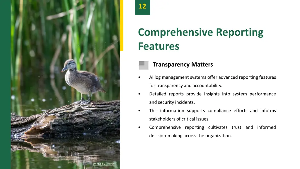 slide15