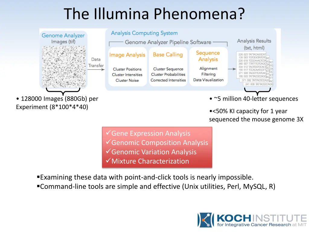 the illumina phenomena