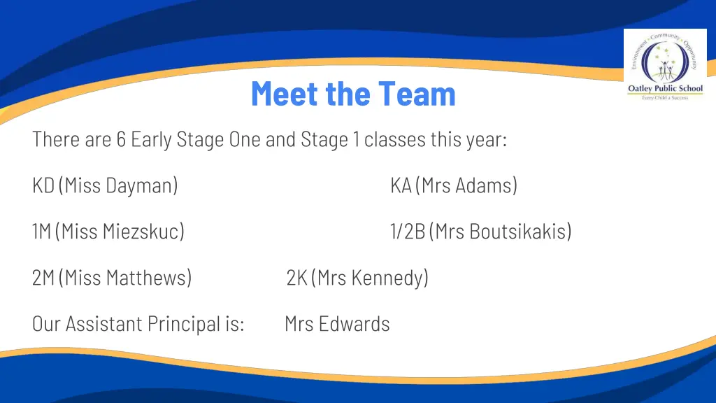 meet the team