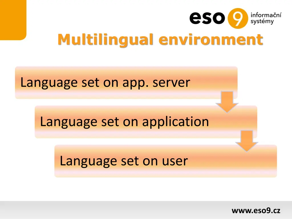 multilingual environment