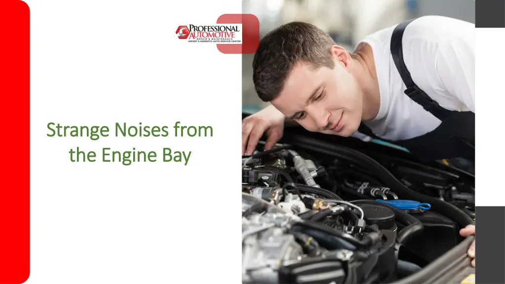 strange noises from strange noises from