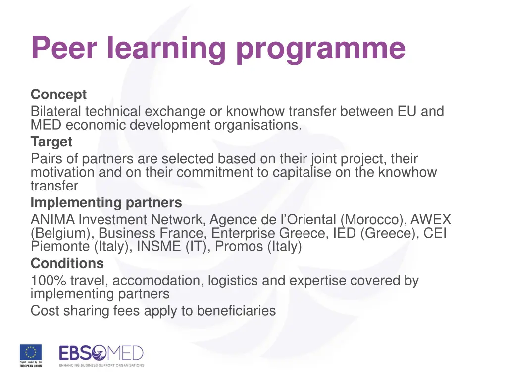 peer learning programme