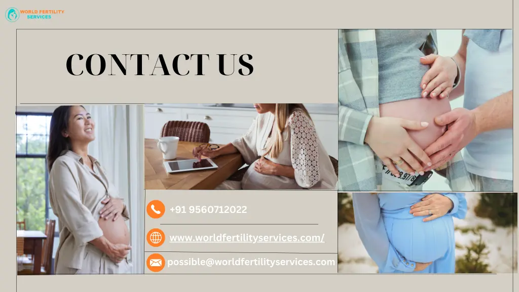 contact us