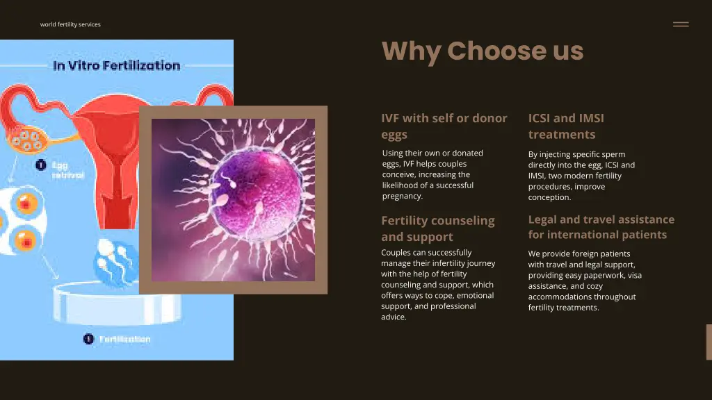 world fertility services 2
