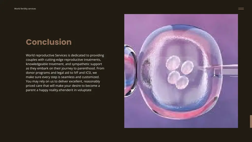 world fertility services 3