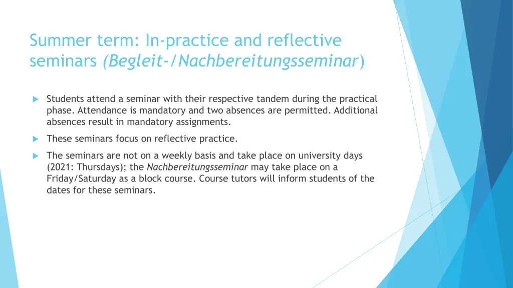 summer term in practice and reflective seminars