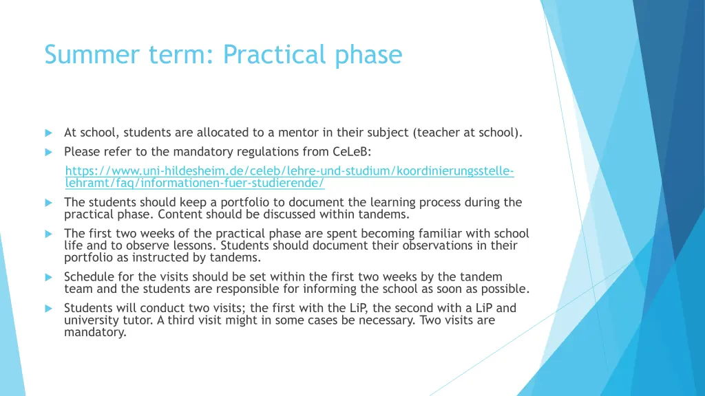 summer term practical phase