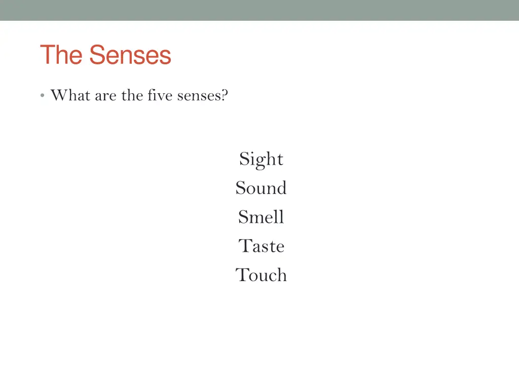 the senses