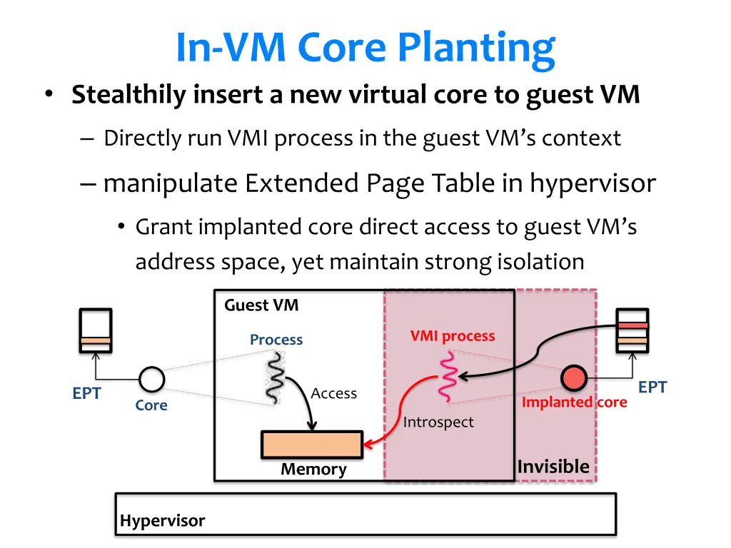 in vm core planting stealthily insert