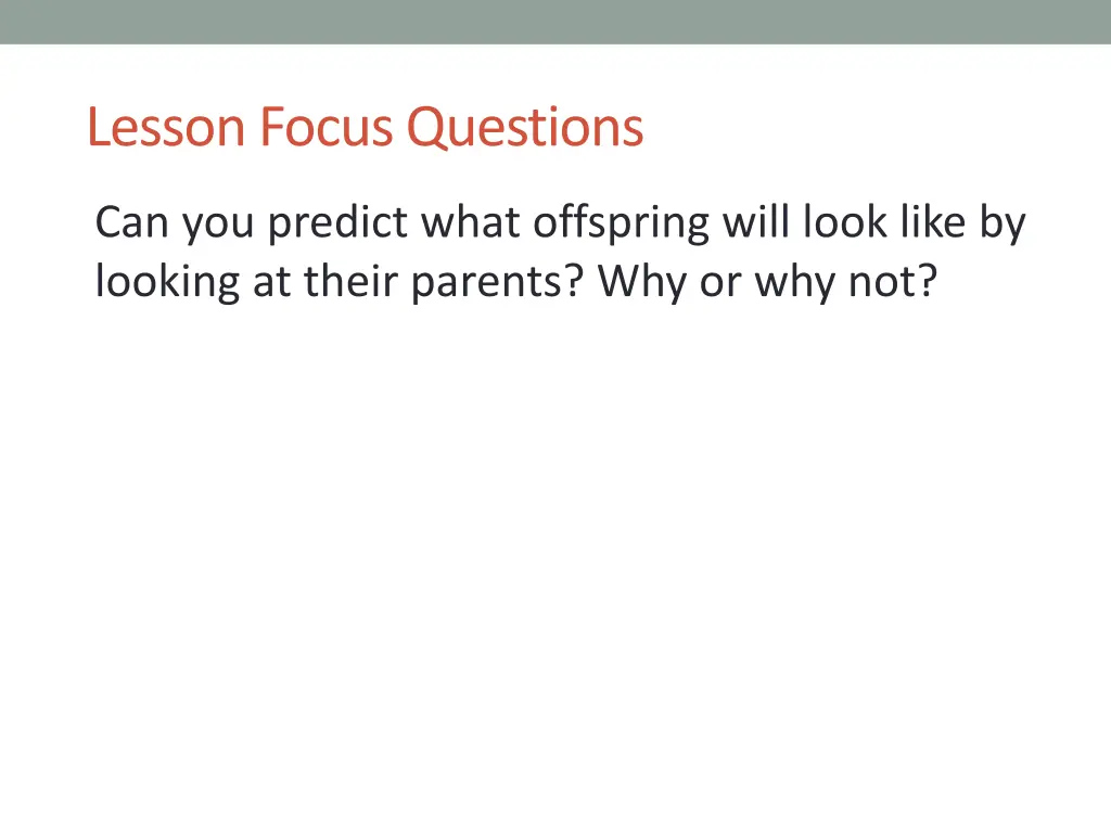 lesson focus questions