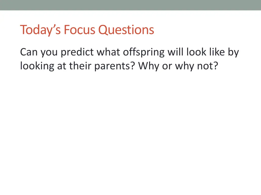 today s focus questions