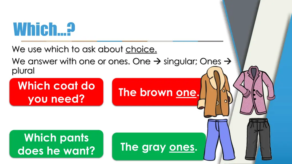 which we use which to ask about choice we answer