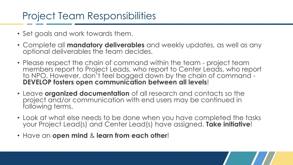 project team responsibilities