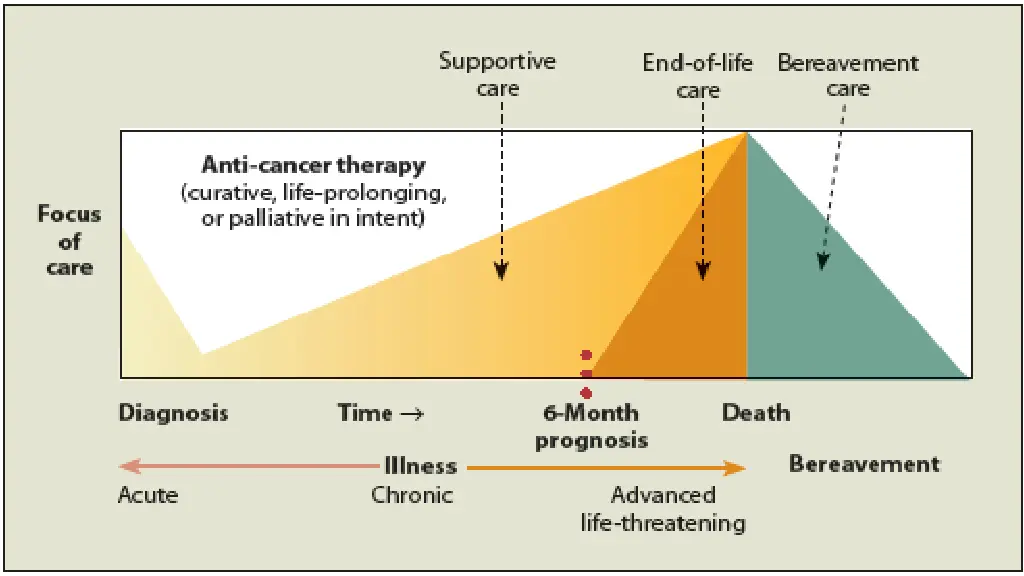 palliative care