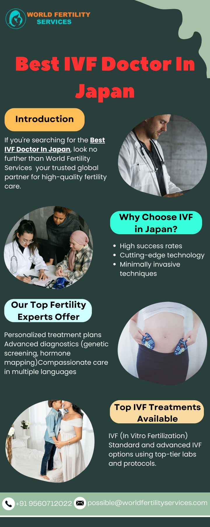 best ivf doctor in japan