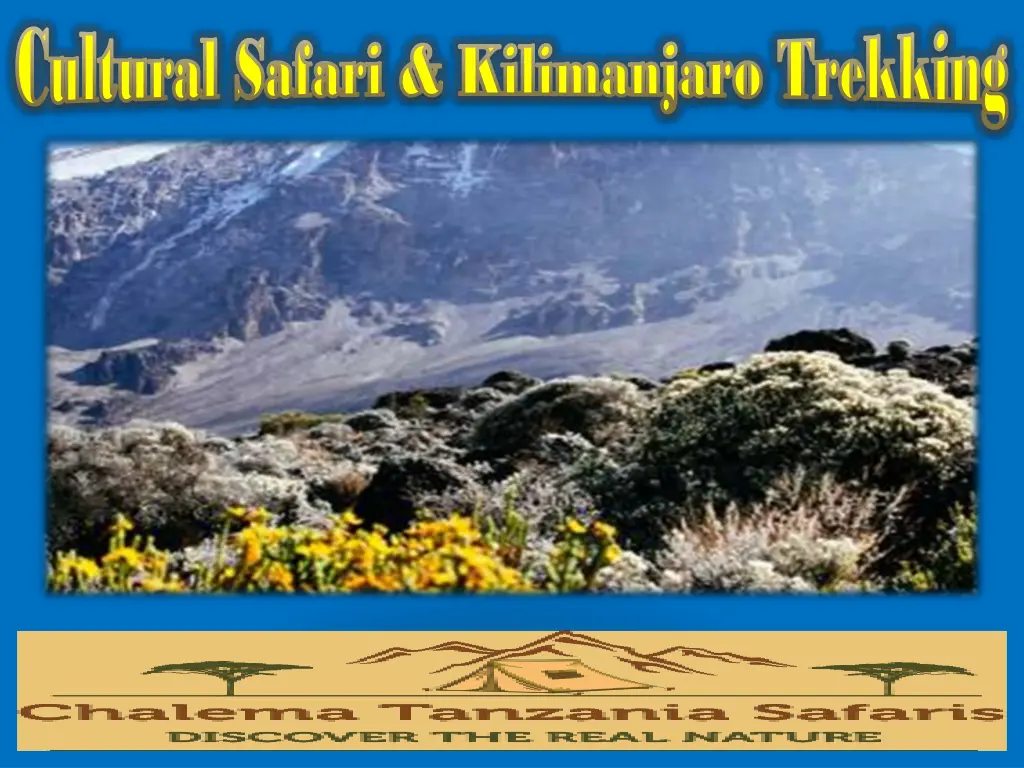 cultural safari kilimanjaro trekking cultural 2