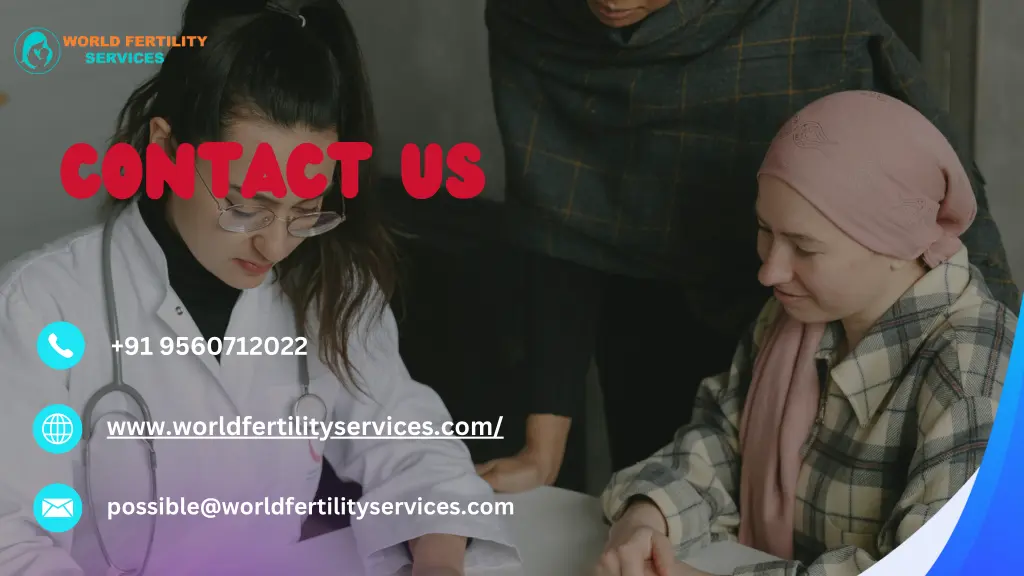 contact us