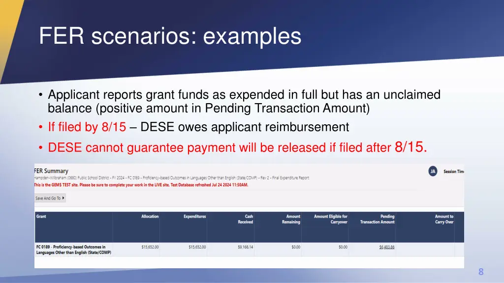 fer scenarios examples 3