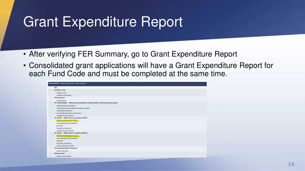 grant expenditure report