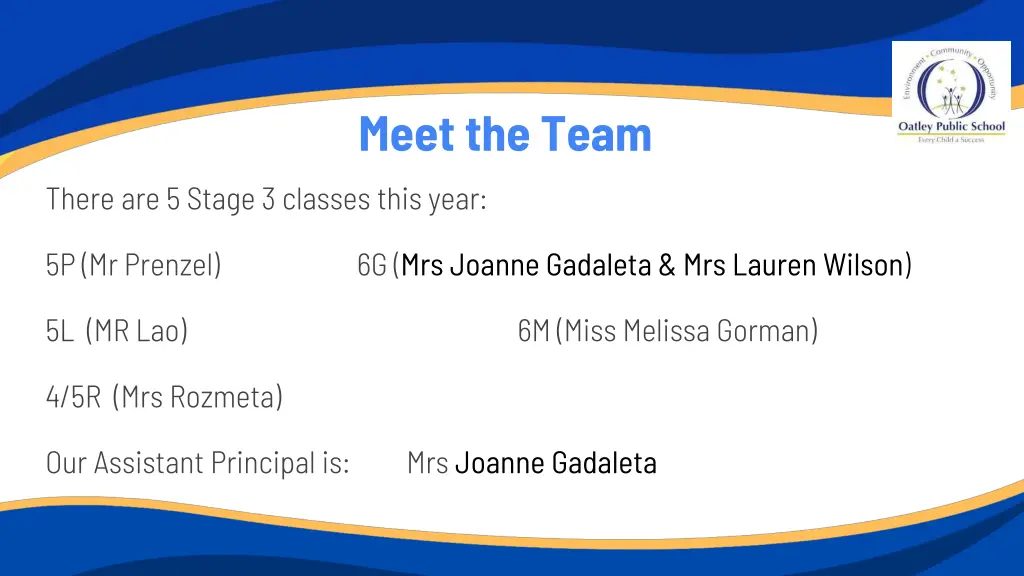 meet the team