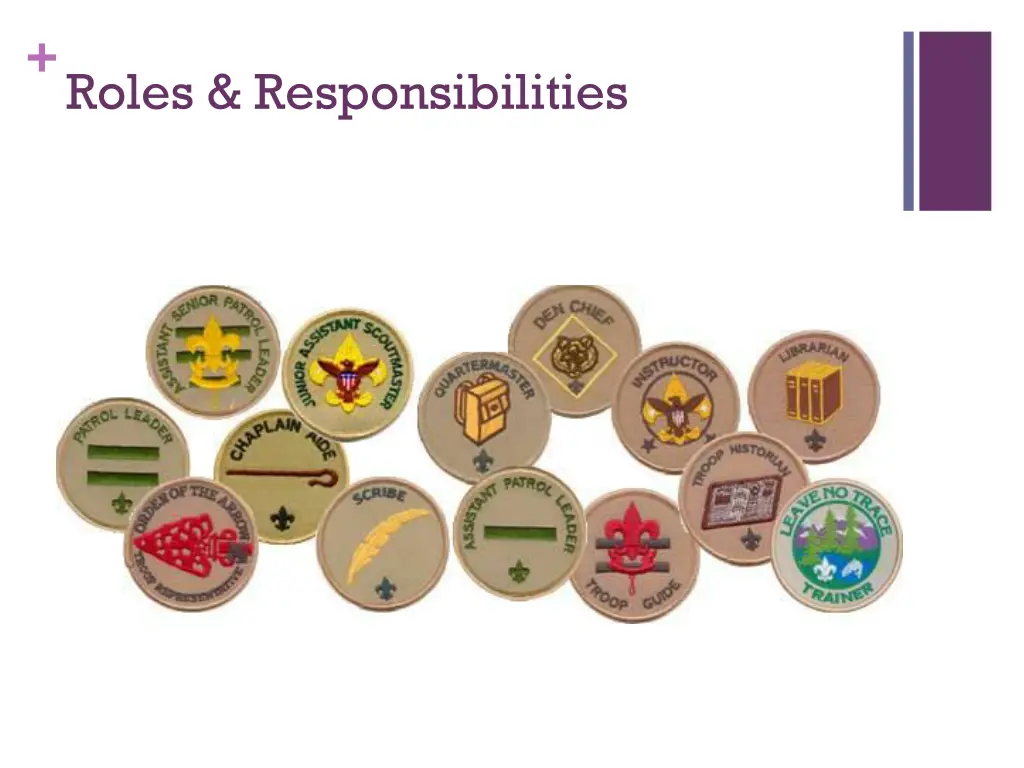 roles responsibilities