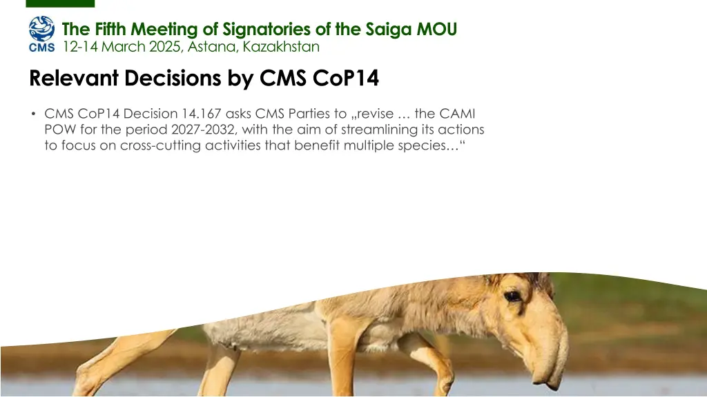 the fifth meeting of signatories of the saiga